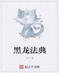 黑龍法典