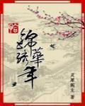 恰錦繡華年