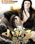 小霸王孫策