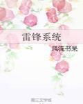 雷鋒系統