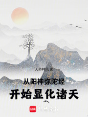 從陽神彌陀經開始顯化諸天